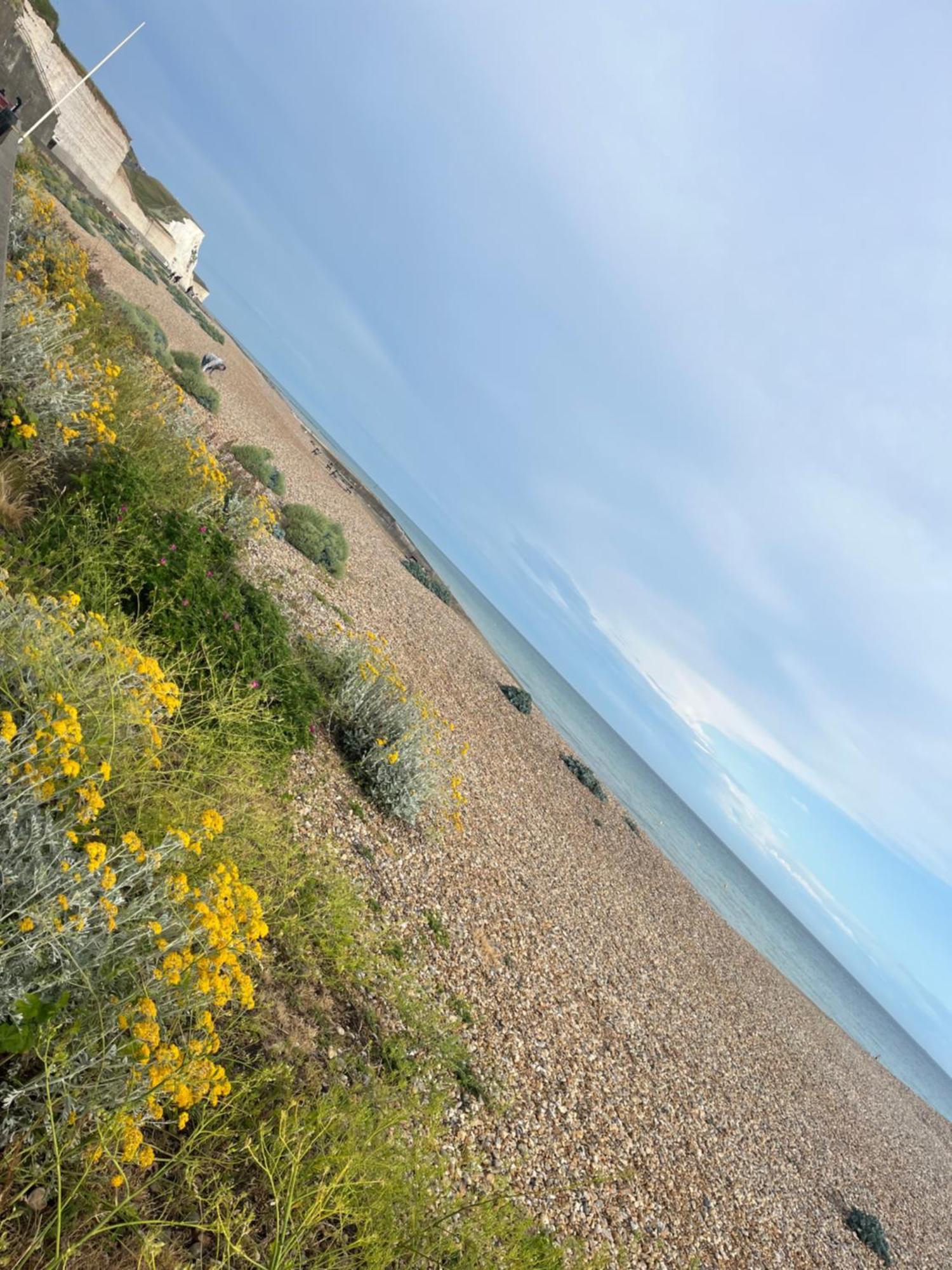 Saltdean Stay Hove Extérieur photo
